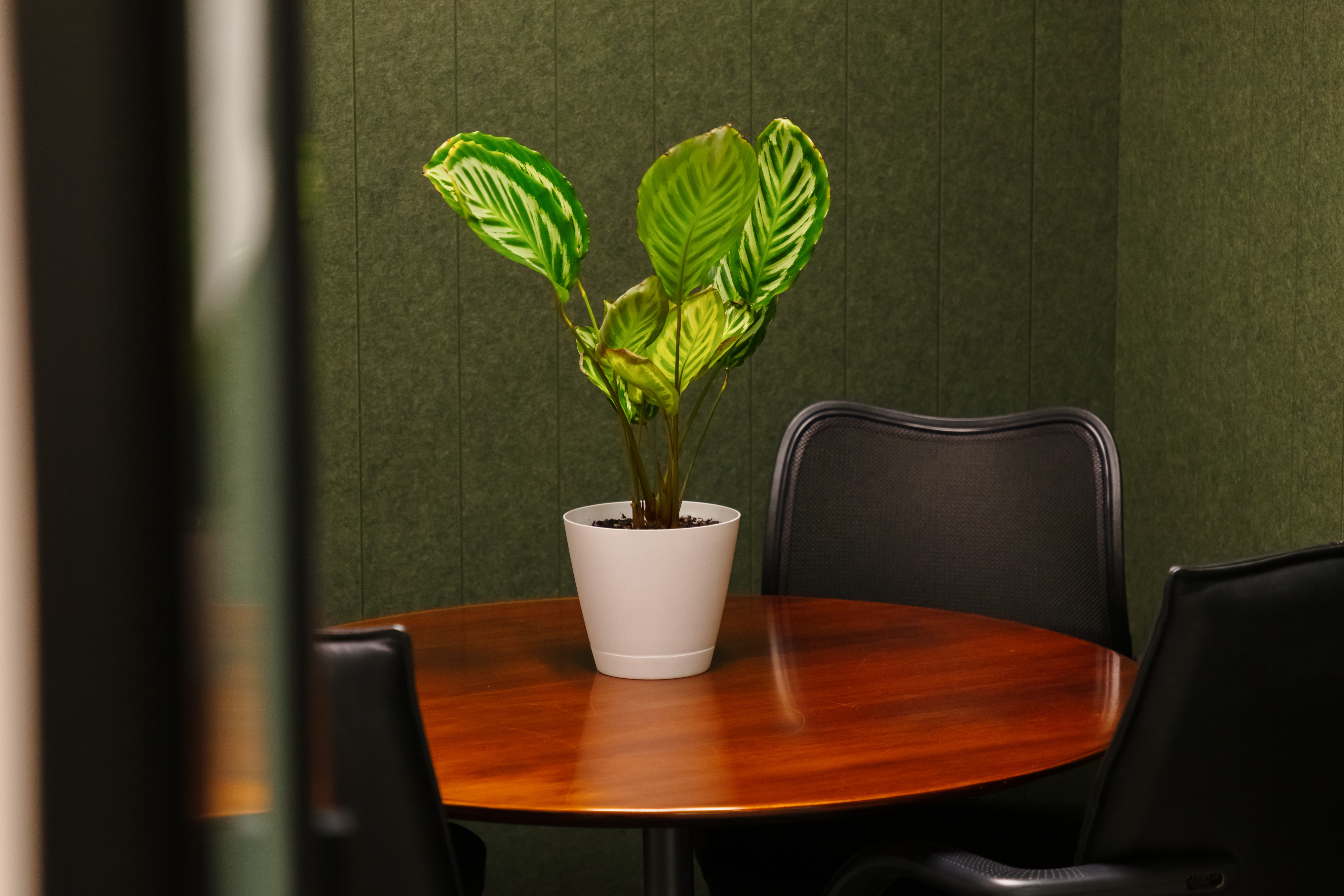TGT Legal office in Auckland